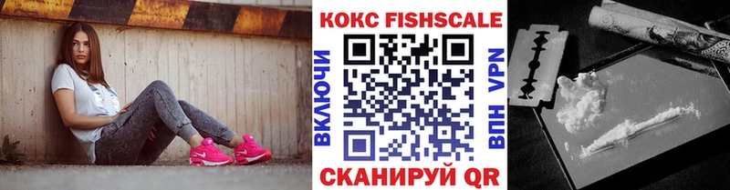 Кокаин FishScale  Грязи 