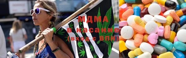 шишки Верея