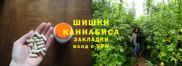 сатива Бугульма