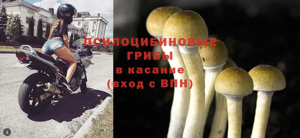сатива Бугульма